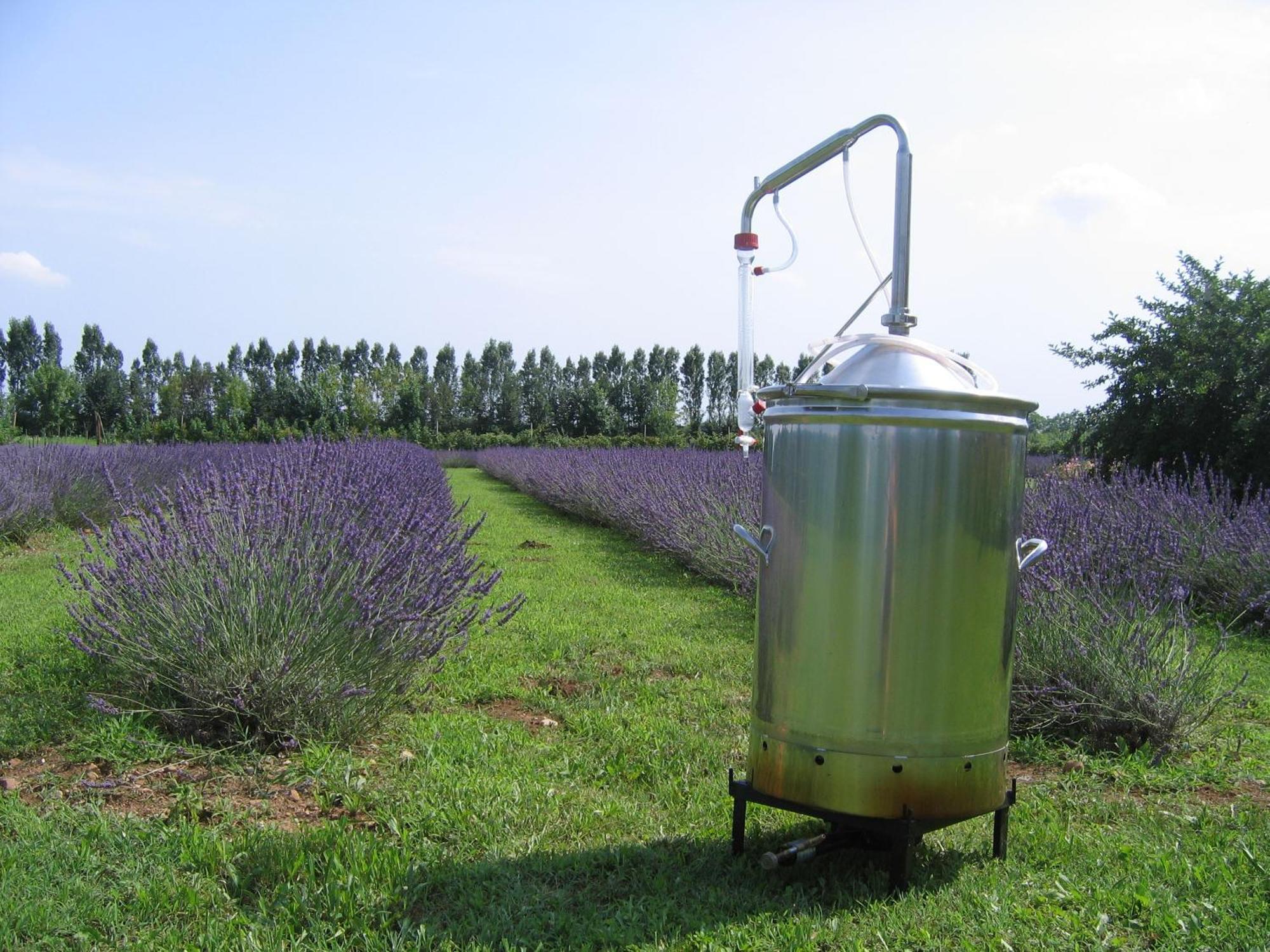 Agriturismo Domus Magna Povoletto Zewnętrze zdjęcie