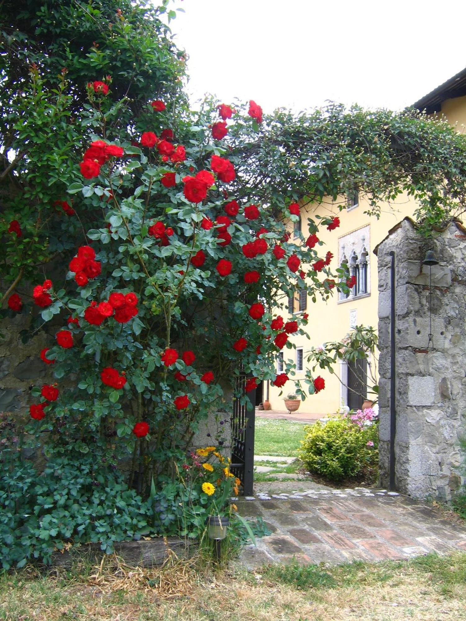 Agriturismo Domus Magna Povoletto Zewnętrze zdjęcie
