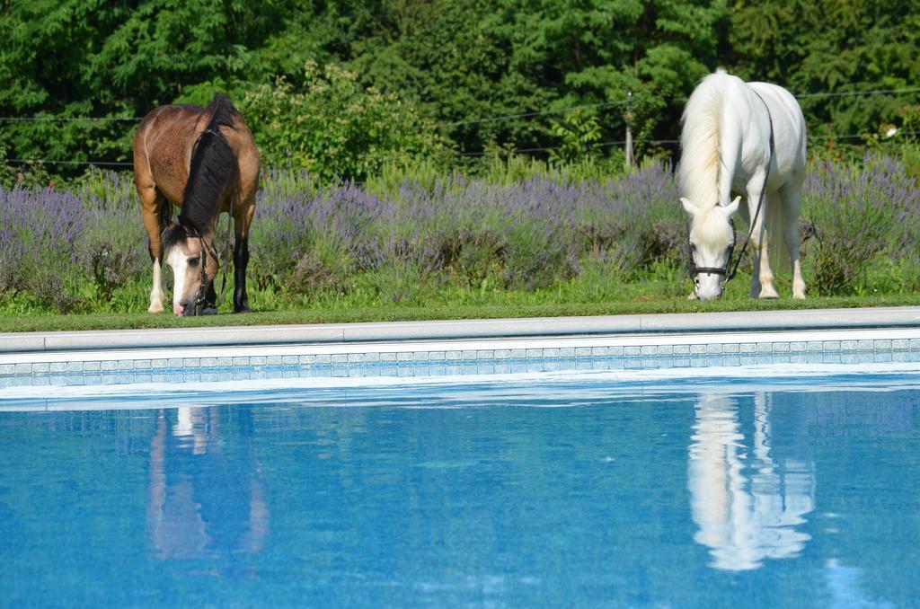Agriturismo Domus Magna Povoletto Zewnętrze zdjęcie