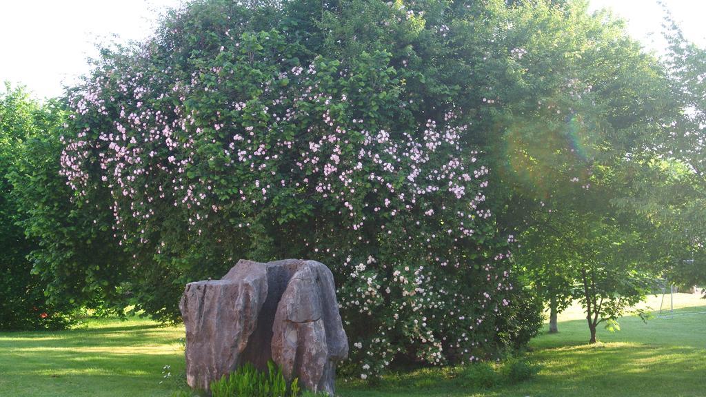 Agriturismo Domus Magna Povoletto Zewnętrze zdjęcie