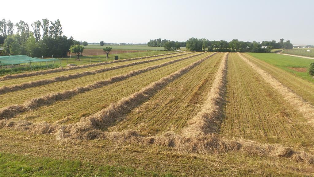 Agriturismo Domus Magna Povoletto Zewnętrze zdjęcie